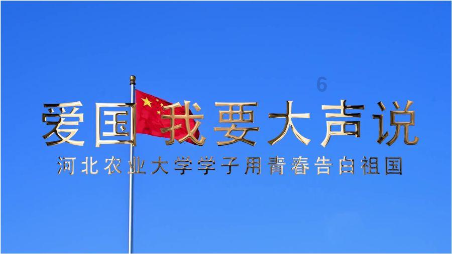 无忧国际wy6999